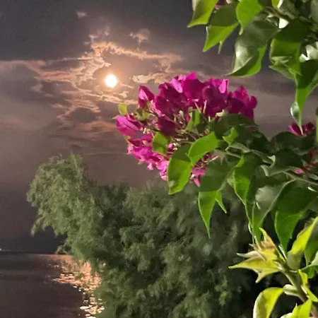 Sea Lägenhet Eratini